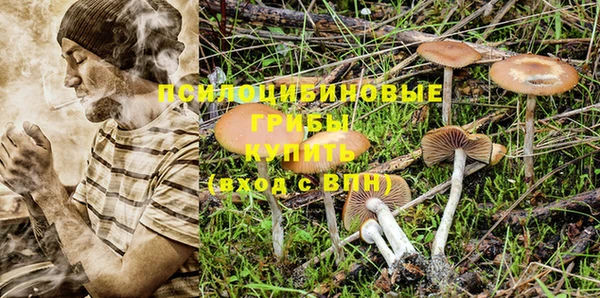 2c-b Балабаново