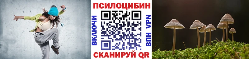 Галлюциногенные грибы Psilocybine cubensis  гидра ONION  Мглин 
